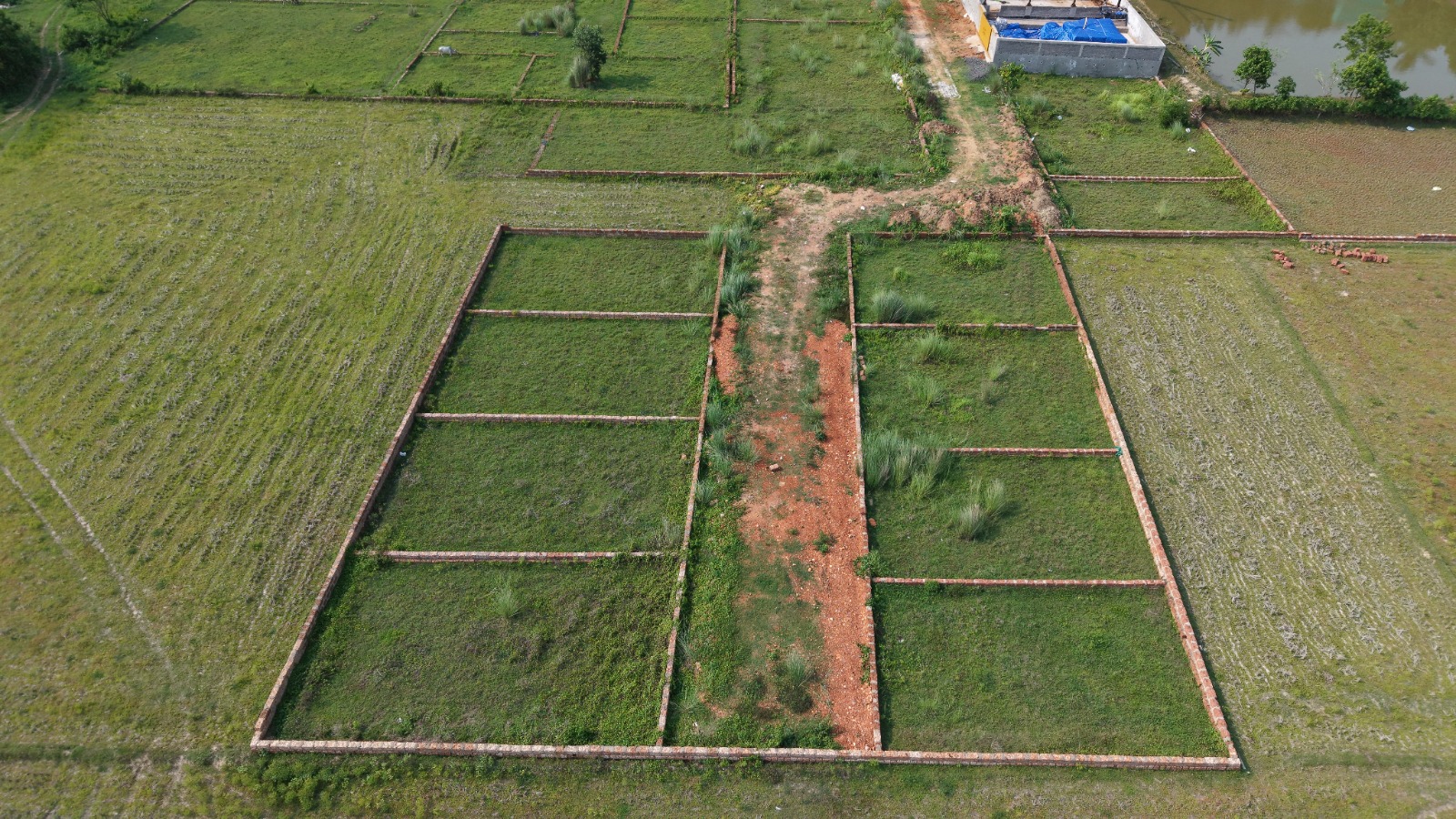 Mouza- Patasahanipur