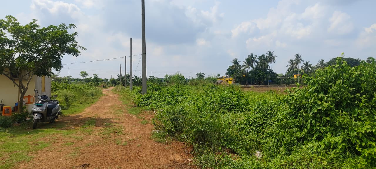 Mouza- Kanhupur